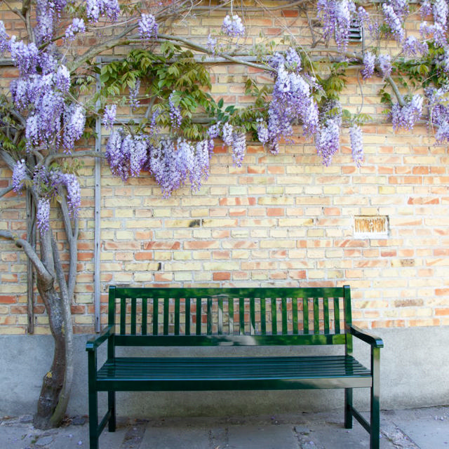 Brighton Bank Dreisitzer - Grün