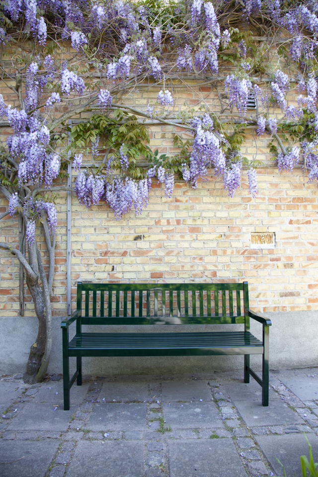 Brighton Bank Dreisitzer - Grün